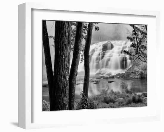 Bond Falls & Trees-Monte Nagler-Framed Giclee Print