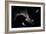 Bond-Antonio Grambone-Framed Photographic Print