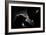 Bond-Antonio Grambone-Framed Photographic Print