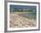 Bondi Beach, Nsw, Australia-Robert Francis-Framed Photographic Print