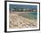 Bondi Beach, Nsw, Australia-Robert Francis-Framed Photographic Print