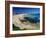 Bondi Beach, One of the City's Southern Ocean Suburbs, Sydney, New South Wales, Australia-Robert Francis-Framed Photographic Print