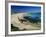 Bondi Beach, One of the City's Southern Ocean Suburbs, Sydney, New South Wales, Australia-Robert Francis-Framed Photographic Print