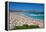 Bondi Beach, Sydney, New South Wales, Australia, Oceania-Frank Fell-Framed Premier Image Canvas