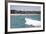 Bondi Beach, Sydney, New South Wales, Australia, Pacific-Mark Mawson-Framed Photographic Print