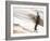 Bondi Beach, Sydney, New South Wales, Australia-Mark Mawson-Framed Photographic Print