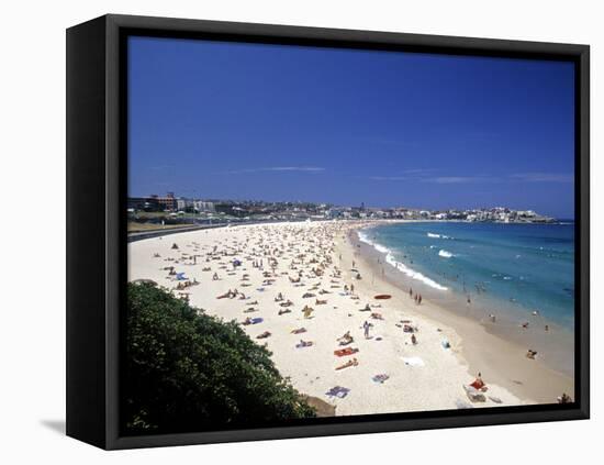 Bondi Beach, Sydney, Nsw, Australia-Neil Farrin-Framed Premier Image Canvas
