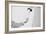 Bonds-Keisuke Ikeda-Framed Art Print