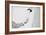 Bonds-Keisuke Ikeda-Framed Art Print