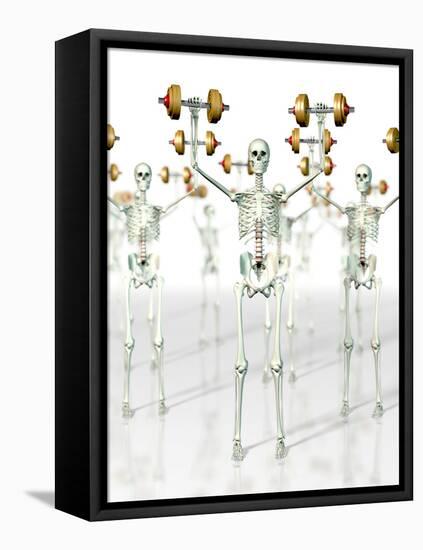 Bone Strength-David Mack-Framed Premier Image Canvas
