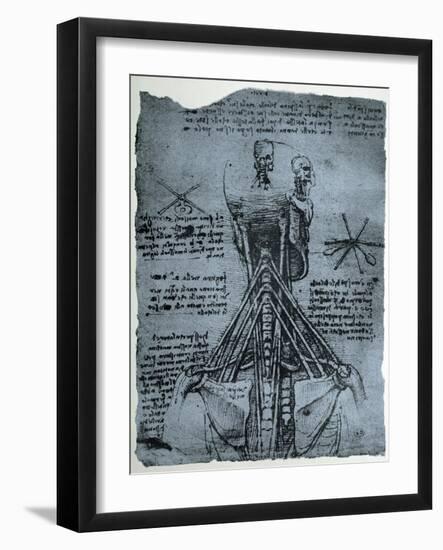 Bone Structure of the Human Neck and Shoulder, Facsimile Copy-Leonardo da Vinci-Framed Giclee Print