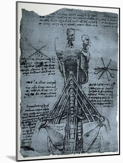 Bone Structure of the Human Neck and Shoulder, Facsimile Copy-Leonardo da Vinci-Mounted Giclee Print
