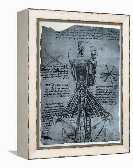 Bone Structure of the Human Neck and Shoulder, Facsimile Copy-Leonardo da Vinci-Framed Premier Image Canvas