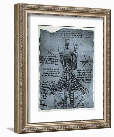 Bone Structure of the Human Neck and Shoulder, Facsimile Copy-Leonardo da Vinci-Framed Giclee Print