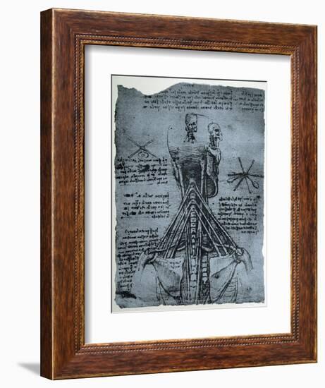 Bone Structure of the Human Neck and Shoulder, Facsimile Copy-Leonardo da Vinci-Framed Giclee Print