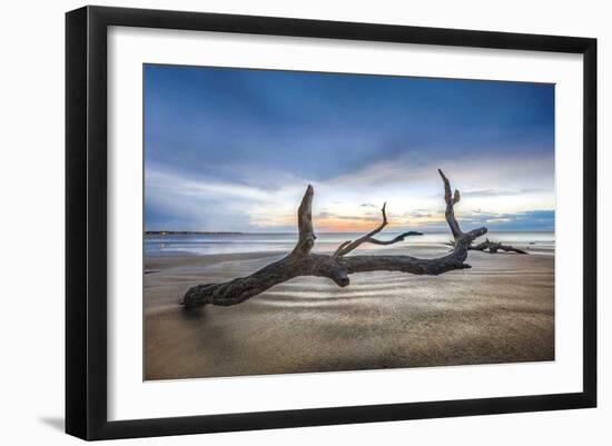 Bones Beach-Celebrate Life Gallery-Framed Giclee Print