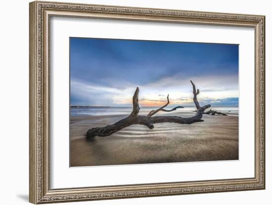 Bones Beach-Celebrate Life Gallery-Framed Giclee Print