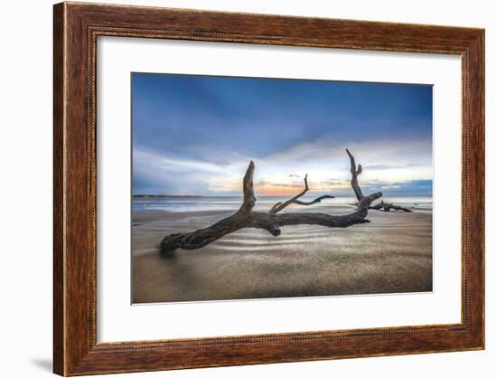 Bones Beach-Celebrate Life Gallery-Framed Giclee Print