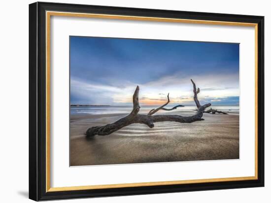 Bones Beach-Celebrate Life Gallery-Framed Giclee Print