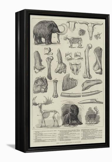 Bones of Extinct Animals Found at Charing-Cross-null-Framed Premier Image Canvas