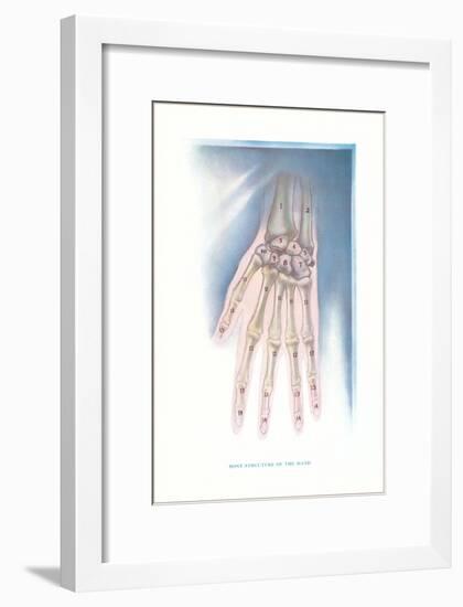 Bones of the Hand-null-Framed Art Print