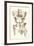 Bones of the Pelvis, Lower Spine, and Upper Leg-Found Image Press-Framed Giclee Print