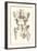 Bones of the Pelvis, Lower Spine, and Upper Leg-Found Image Press-Framed Giclee Print