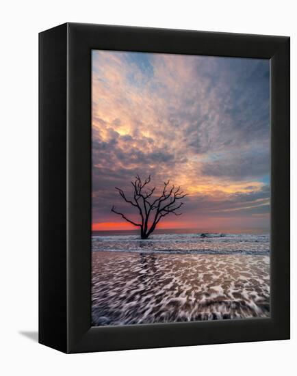 Boneyard-Steven Maxx-Framed Premier Image Canvas