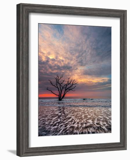 Boneyard-Steven Maxx-Framed Photographic Print