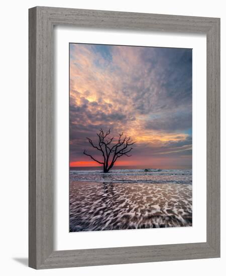 Boneyard-Steven Maxx-Framed Photographic Print