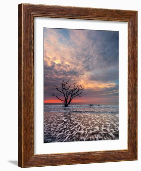 Boneyard-Steven Maxx-Framed Photographic Print