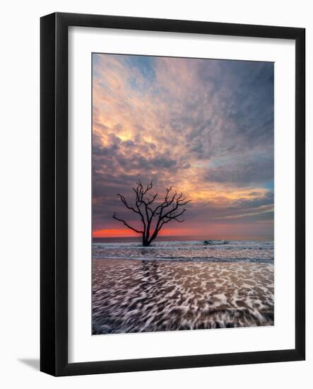 Boneyard-Steven Maxx-Framed Photographic Print