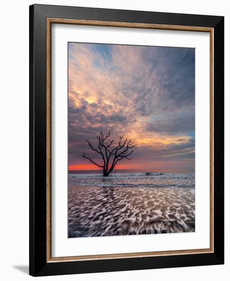 Boneyard-Steven Maxx-Framed Photographic Print