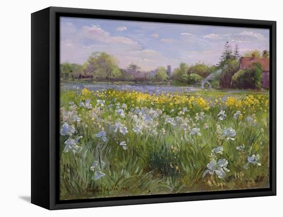 Bonfire and Iris Field, 1993-Timothy Easton-Framed Premier Image Canvas