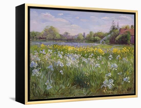 Bonfire and Iris Field, 1993-Timothy Easton-Framed Premier Image Canvas