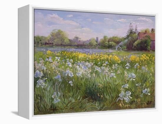 Bonfire and Iris Field, 1993-Timothy Easton-Framed Premier Image Canvas