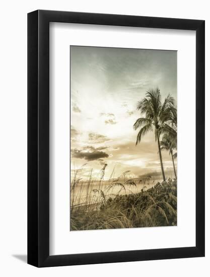 BONITA BEACH Vintage Sunset-Melanie Viola-Framed Photographic Print