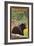 Bonners Ferry, Idaho - Black Bear in Forest-Lantern Press-Framed Art Print