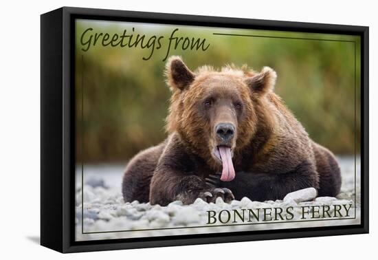 Bonners Ferry, Idaho - Grizzly Bear with Tongue Out-Lantern Press-Framed Stretched Canvas