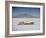 Bonneville Hot Rod Meet at the Bonneville Salt Flats in Utah-J^ R^ Eyerman-Framed Premium Photographic Print