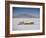 Bonneville Hot Rod Meet at the Bonneville Salt Flats in Utah-J^ R^ Eyerman-Framed Photographic Print