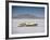 Bonneville Hot Rod Meet at the Bonneville Salt Flats in Utah-J^ R^ Eyerman-Framed Photographic Print