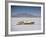 Bonneville Hot Rod Meet at the Bonneville Salt Flats in Utah-J^ R^ Eyerman-Framed Photographic Print