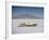 Bonneville Hot Rod Meet at the Bonneville Salt Flats in Utah-J^ R^ Eyerman-Framed Photographic Print