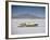 Bonneville Hot Rod Meet at the Bonneville Salt Flats in Utah-J^ R^ Eyerman-Framed Photographic Print