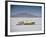 Bonneville Hot Rod Meet at the Bonneville Salt Flats in Utah-J^ R^ Eyerman-Framed Photographic Print