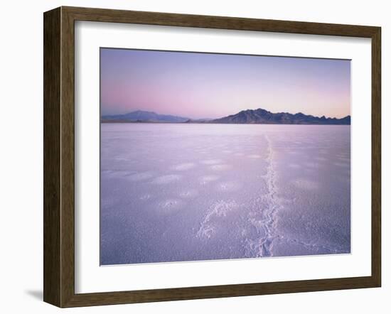 Bonneville Salt Flats at Sunrise, Silver Island Mountains & Pilot Peak, Utah, USA-Scott T. Smith-Framed Photographic Print