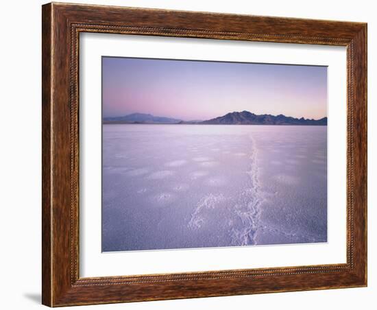 Bonneville Salt Flats at Sunrise, Silver Island Mountains & Pilot Peak, Utah, USA-Scott T. Smith-Framed Photographic Print