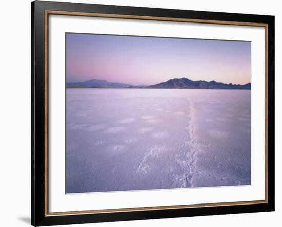 Bonneville Salt Flats at Sunrise, Silver Island Mountains & Pilot Peak, Utah, USA-Scott T. Smith-Framed Photographic Print