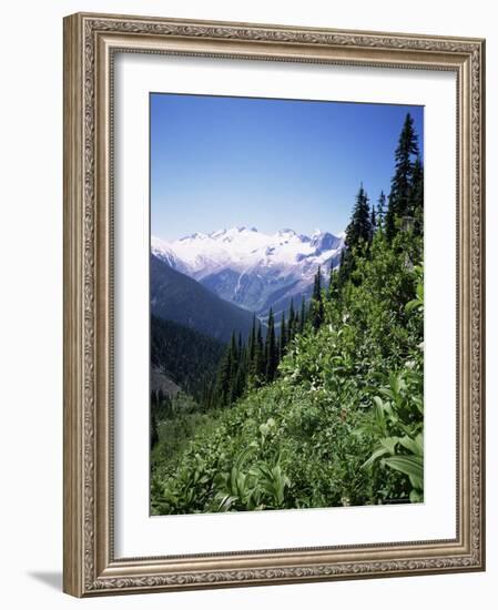 Bonney Range, Glacier National Park, Rocky Mountains, British Columbia, Canada-Geoff Renner-Framed Photographic Print